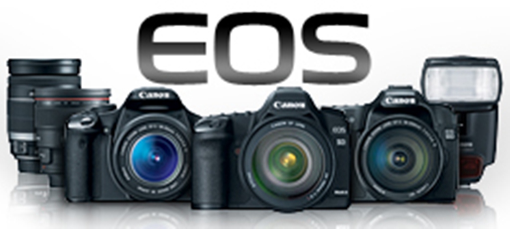 Canon Eos 5d User Manual Pdf
